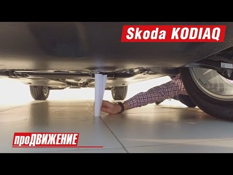 188 мм ?! Первый товарный Кодиак. Обзор Skoda KODIAQ - 2017. АвтоБлог про.Движение 1